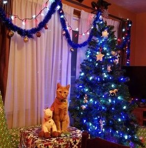 Meet your Posher, Kendra